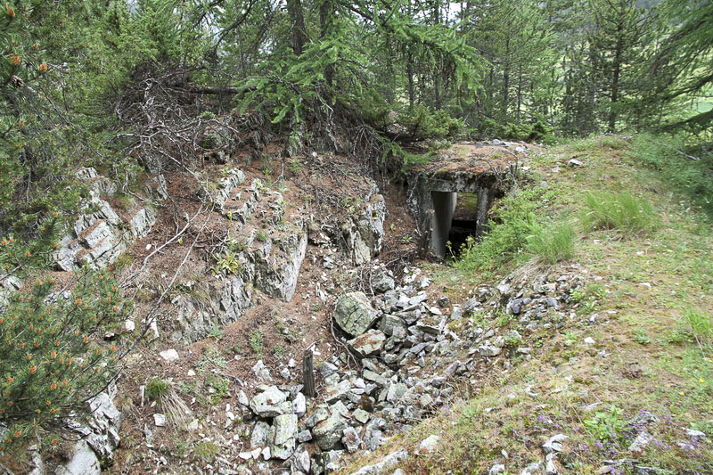Ligne Maginot - LE CHATEAU - COTE 1655 SUD - (Cuve pour arme d'infanterie) -  - Alain Perouffe