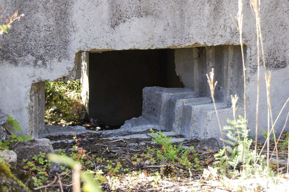 Ligne Maginot - LES SAGNES - (Blockhaus pour canon) -  - Michal Prasil