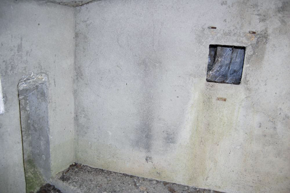 Ligne Maginot - LES SAGNES - (Blockhaus pour canon) -  - Michal Prasil