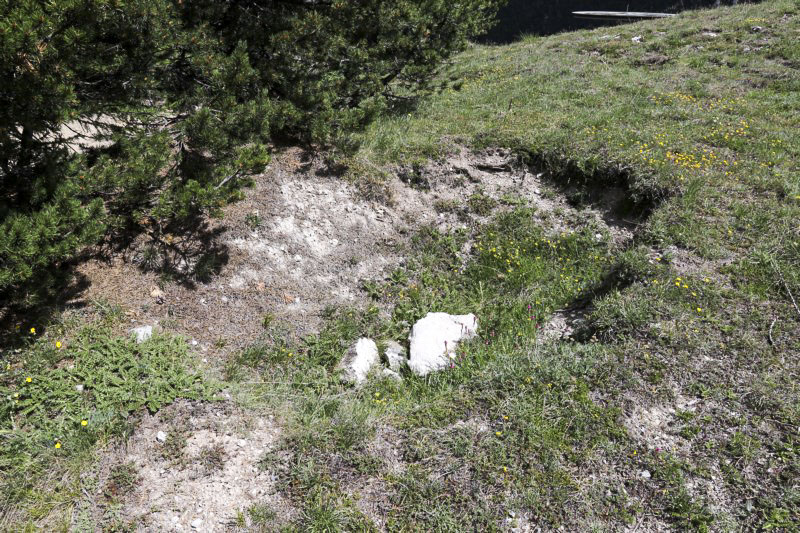Ligne Maginot - MONT QUITAINE - (Observatoire indeterminé) - Excavation sur le sommet, arme d'infanterie probable - Alain Perouffe
