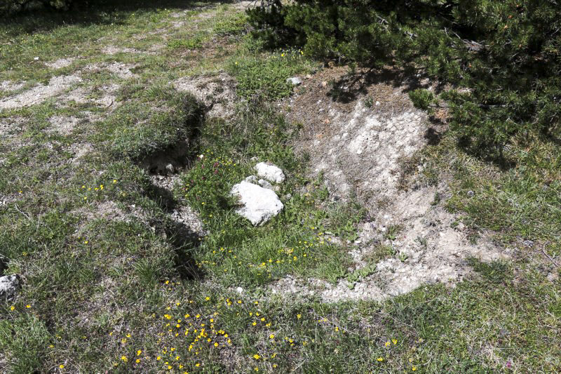 Ligne Maginot - MONT QUITAINE - (Observatoire indeterminé) -  Excavation sur le sommet, arme d'infanterie probable - Alain Perouffe