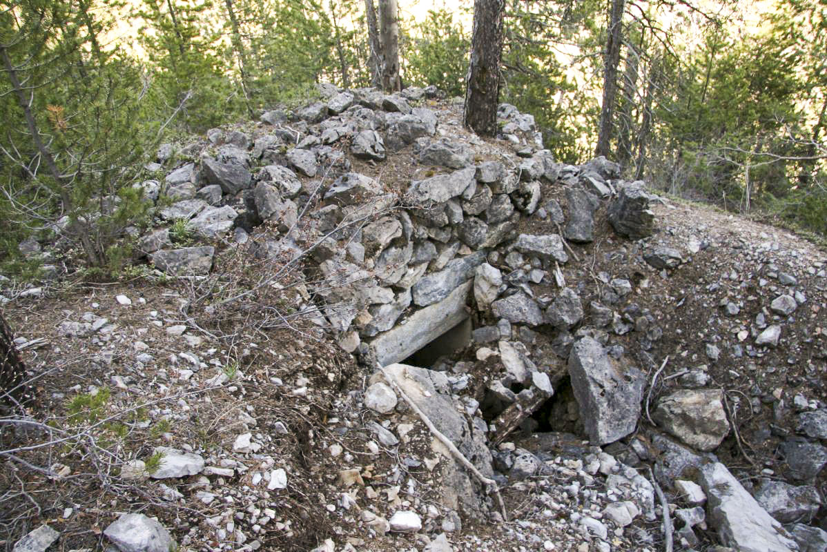 Ligne Maginot - RAVIN DE L'ENROUYE 1 - (Blockhaus pour arme infanterie) -  - Alain Perouffe