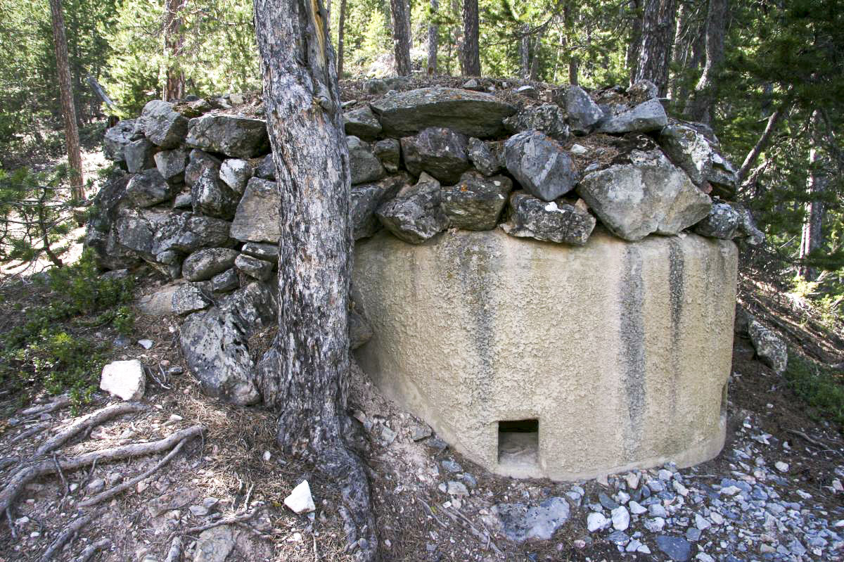 Ligne Maginot - RAVIN DE L'ENROUYE 4 - (Blockhaus pour arme infanterie) -  - Alain Perouffe