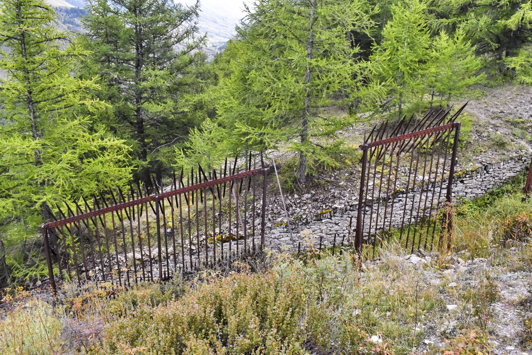 Ligne Maginot - ROCHE LA CROIX (RLC) - (Ouvrage d'artillerie) - Grille de protection de l'ouvrage - Daniel Froehly