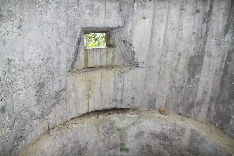 Ligne Maginot - ROCHER DE 10 HEURES 12 - (Blockhaus pour arme infanterie) -  - Alain Perouffe