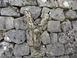 Ligne Maginot - LA PENA (PE) - (Ouvrage d'infanterie) - Casernement
Décoration