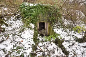 Ligne Maginot - GERSTHEIM 2 (TêTE DE PONT DE ) - (Abri) - 