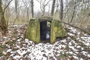 Ligne Maginot - PFIFFERWALD - (Abri) - 