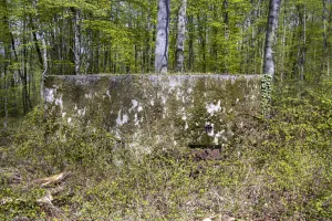 Ligne Maginot - CB301 - KANFENER BUSCH 7 - (Blockhaus pour canon) - Vue latérale côté entrée du personnel