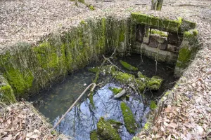 Ligne Maginot - CB224 - BOIS DE CATTENOM 06 - (Blockhaus pour canon) - 