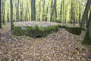 Ligne Maginot - CB81-C - MEIEREI 1 - (Blockhaus pour arme infanterie) - 