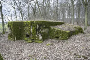 Ligne Maginot - CB225 - BOIS DE CATTENOM 03 - (Blockhaus pour arme infanterie) - 