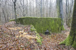 Ligne Maginot - CB332 - GINSKLOPP SUD - (Blockhaus pour arme infanterie) - 