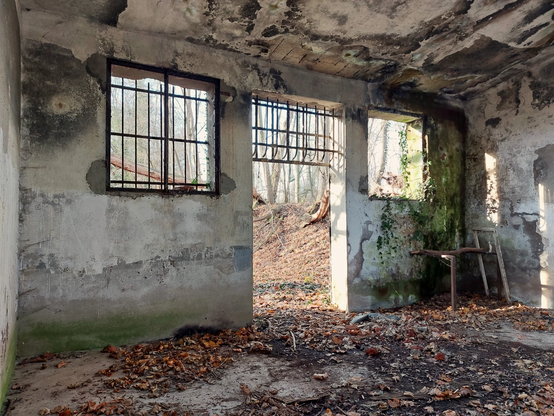 Ligne Maginot - SCHANZ - (Stand de tir) - Entrée de la casemate d'exercice - Gregory Fuchs