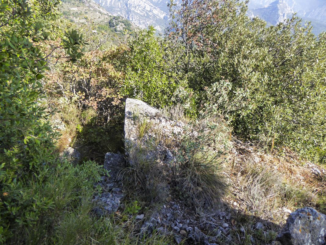 Ligne Maginot - EST DU MONT GROS - (Observatoire d'artillerie) -  - ELLENA-CUNY