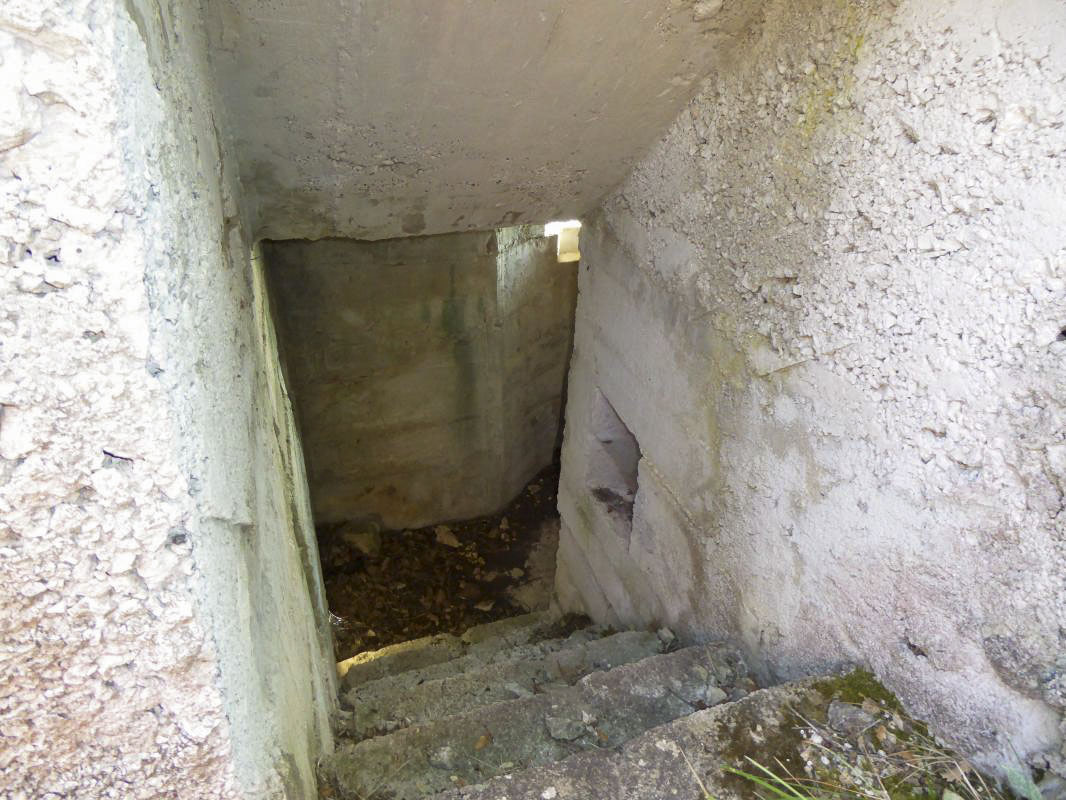 Ligne Maginot - EST DU MONT GROS - (Observatoire d'artillerie) -  - ELLENA-CUNY