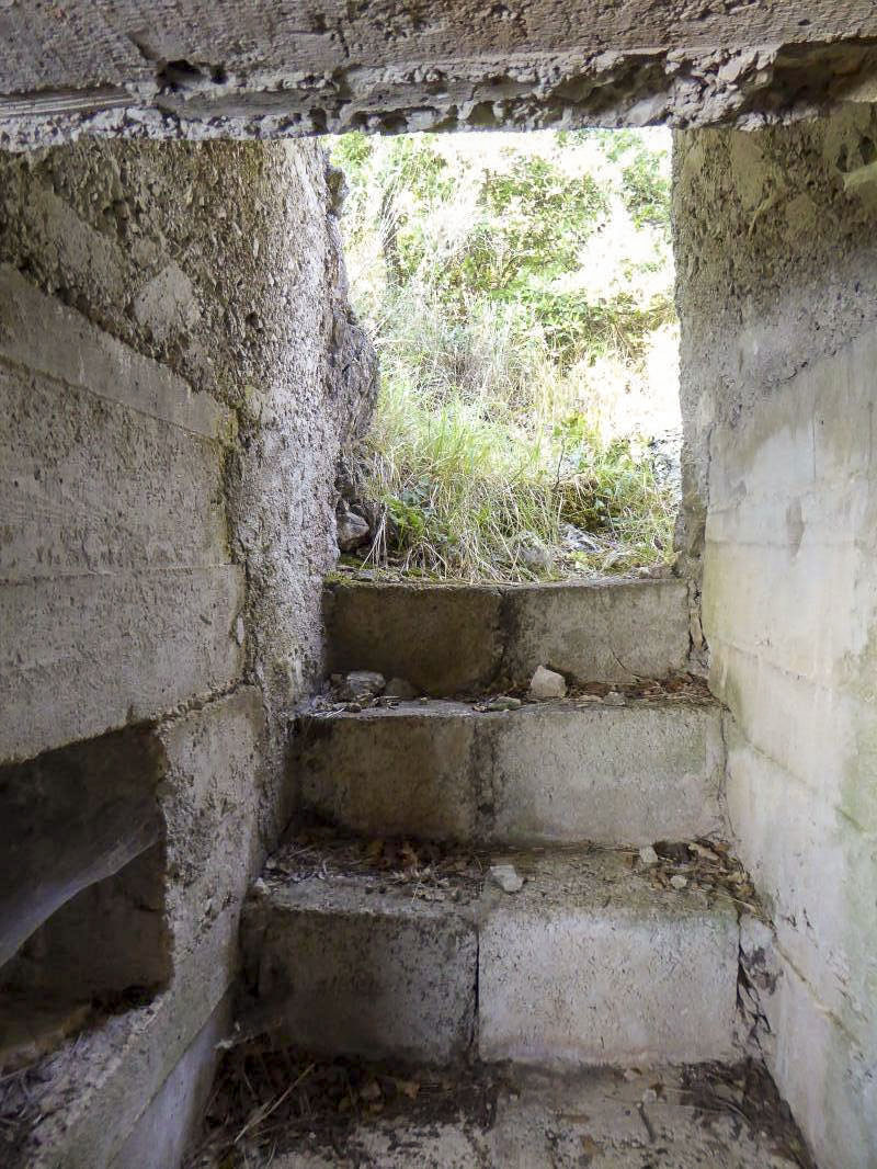 Ligne Maginot - EST DU MONT GROS - (Observatoire d'artillerie) -  - ELLENA-CUNY