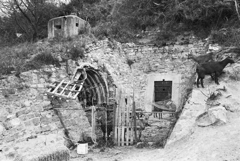 Ligne Maginot - LA COLETTA (LC) - (Ouvrage d'infanterie) - Entrée Sud - LOVINY Alain