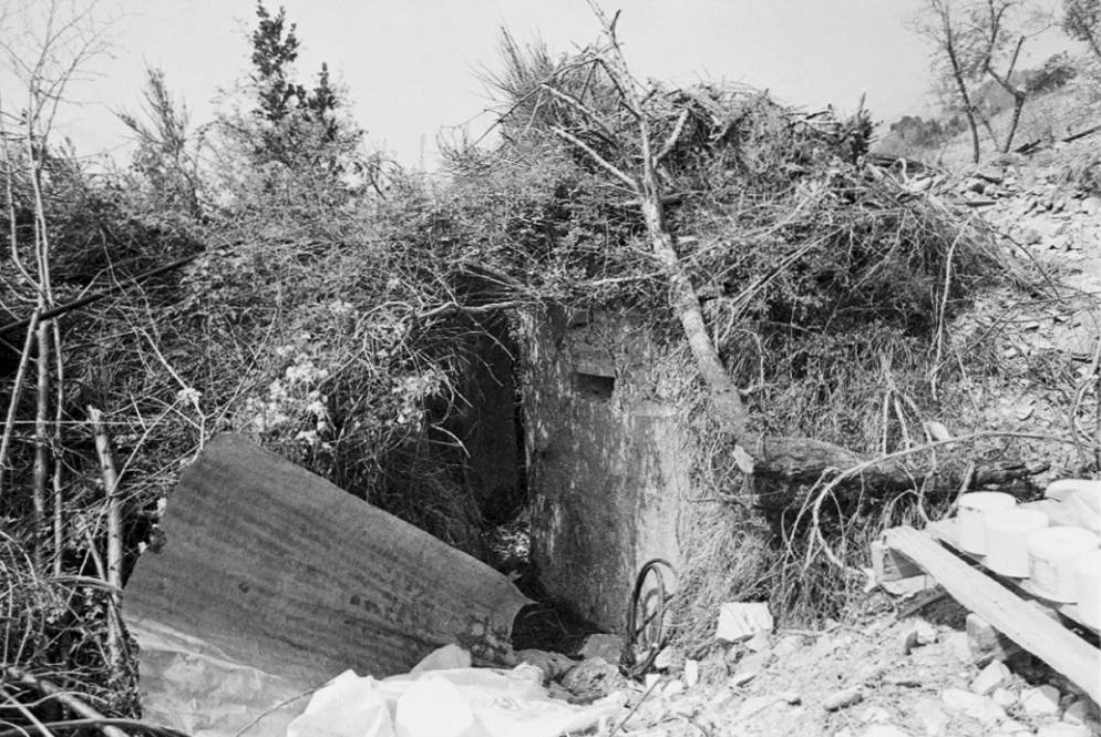 Ligne Maginot - LA COLETTA (LC) - (Ouvrage d'infanterie) - Dessus de l'ouvrage - LOVINY Alain