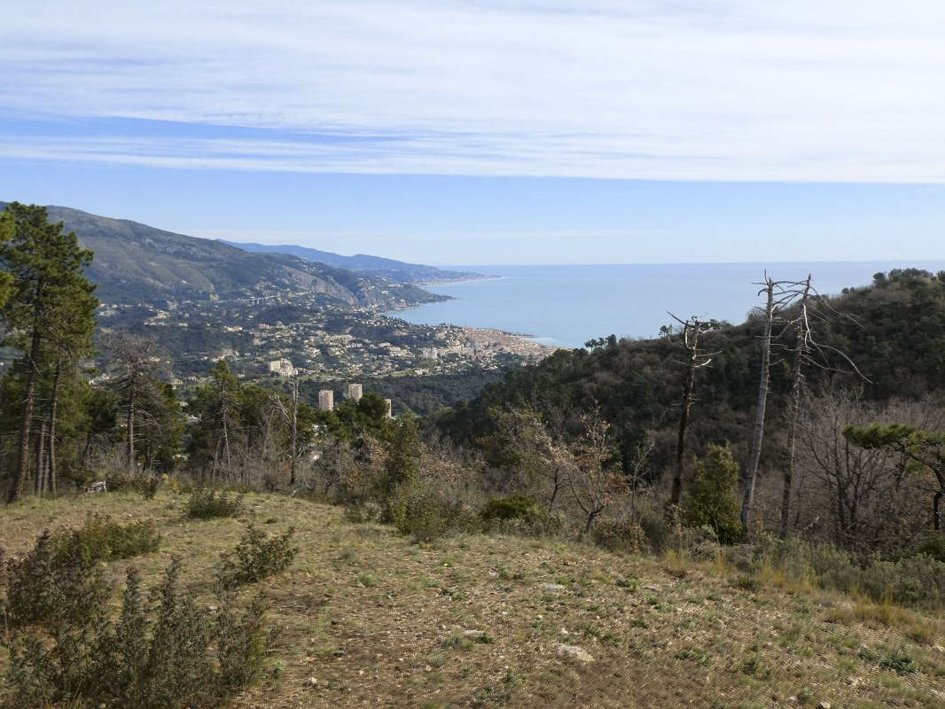 Ligne Maginot - LA COUPIERE NORD - (Position d'artillerie préparée) - Vue sur Menton - ELLENA - CUNY