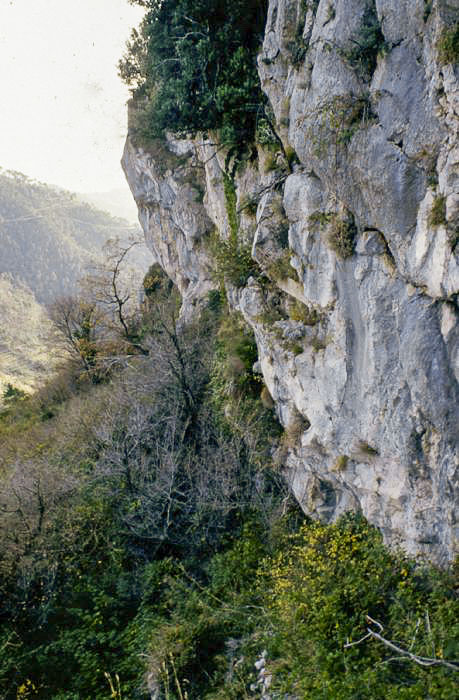 Ligne Maginot - LA PENA (PE) - (Ouvrage d'infanterie) - La falaise dans laquelle se trouve l'unique créneau de l'ouvrage de la Pena - LOVINY Alain