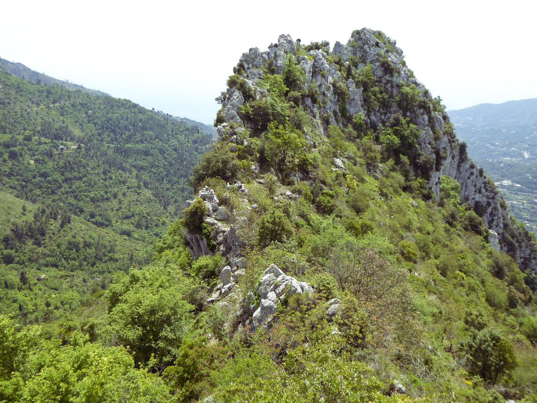 Ligne Maginot - LA PENA (PE) - (Ouvrage d'infanterie) - Blockhaus 2 est l’observatoire de l’avant poste - ELLENA-CUNY