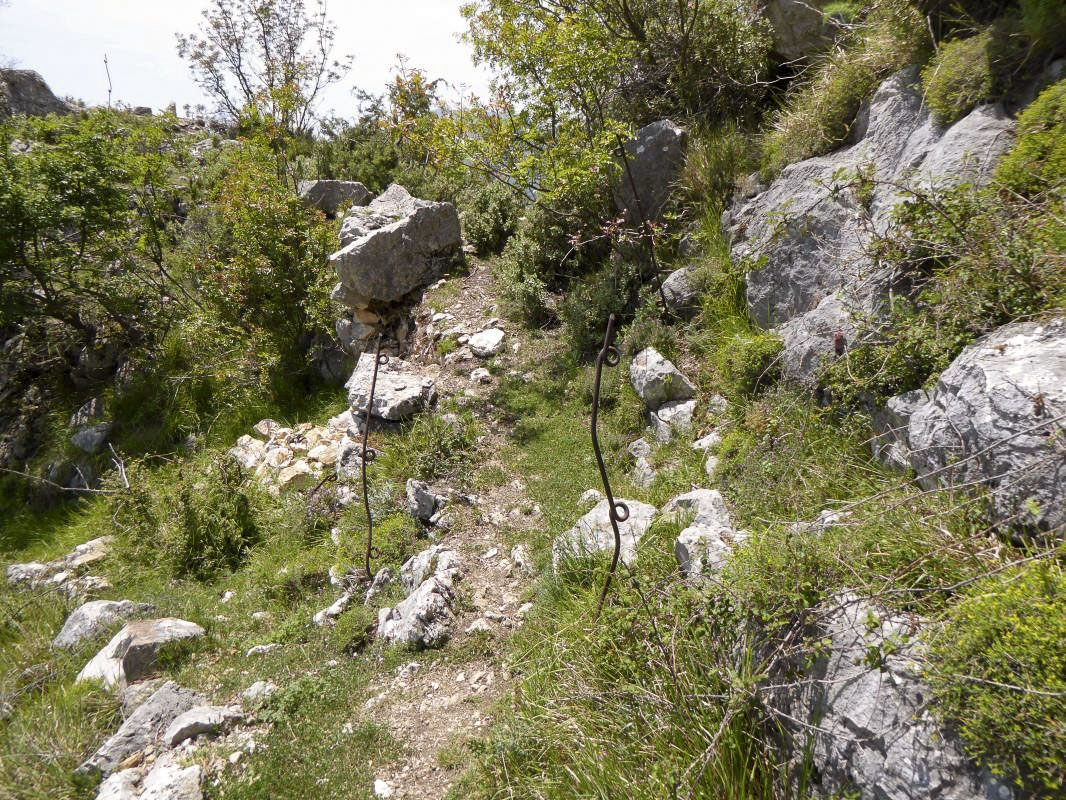 Ligne Maginot - LA PENA (PE) - (Ouvrage d'infanterie) -  - ELLENA-CUNY