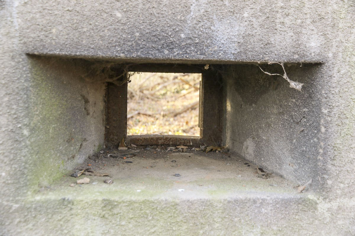 Ligne Maginot - SCHANZ - (Stand de tir) - Créneau de cloche GFM type A - Alain Perouffe