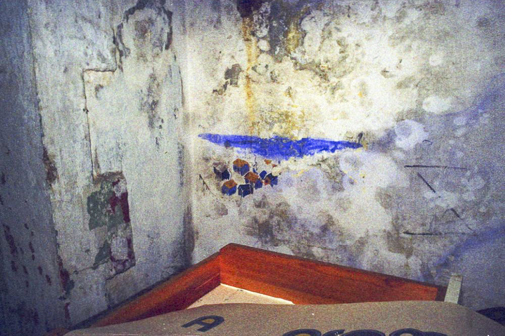 Ligne Maginot - MONT CHAUVE D'ASPREMONT - (Central téléphonique isolé) - Fresques intérieures - Alain LOVINY