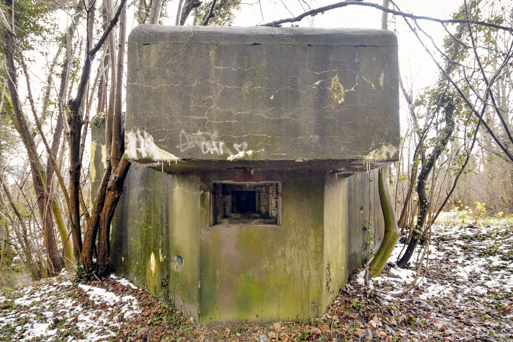 Ligne Maginot - 11 - DIGUE DE GERSTHEIM 2 - (Blockhaus pour arme infanterie) -  - Ludovic KNAPP