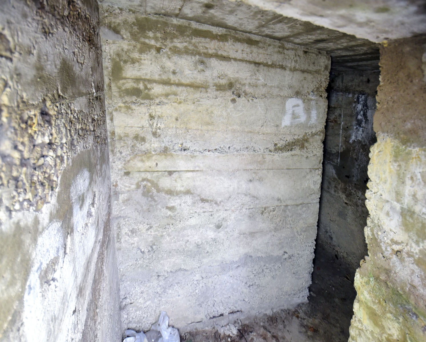 Ligne Maginot - 11 - DIGUE DE GERSTHEIM 2 - (Blockhaus pour arme infanterie) -  - Ludovic KNAPP