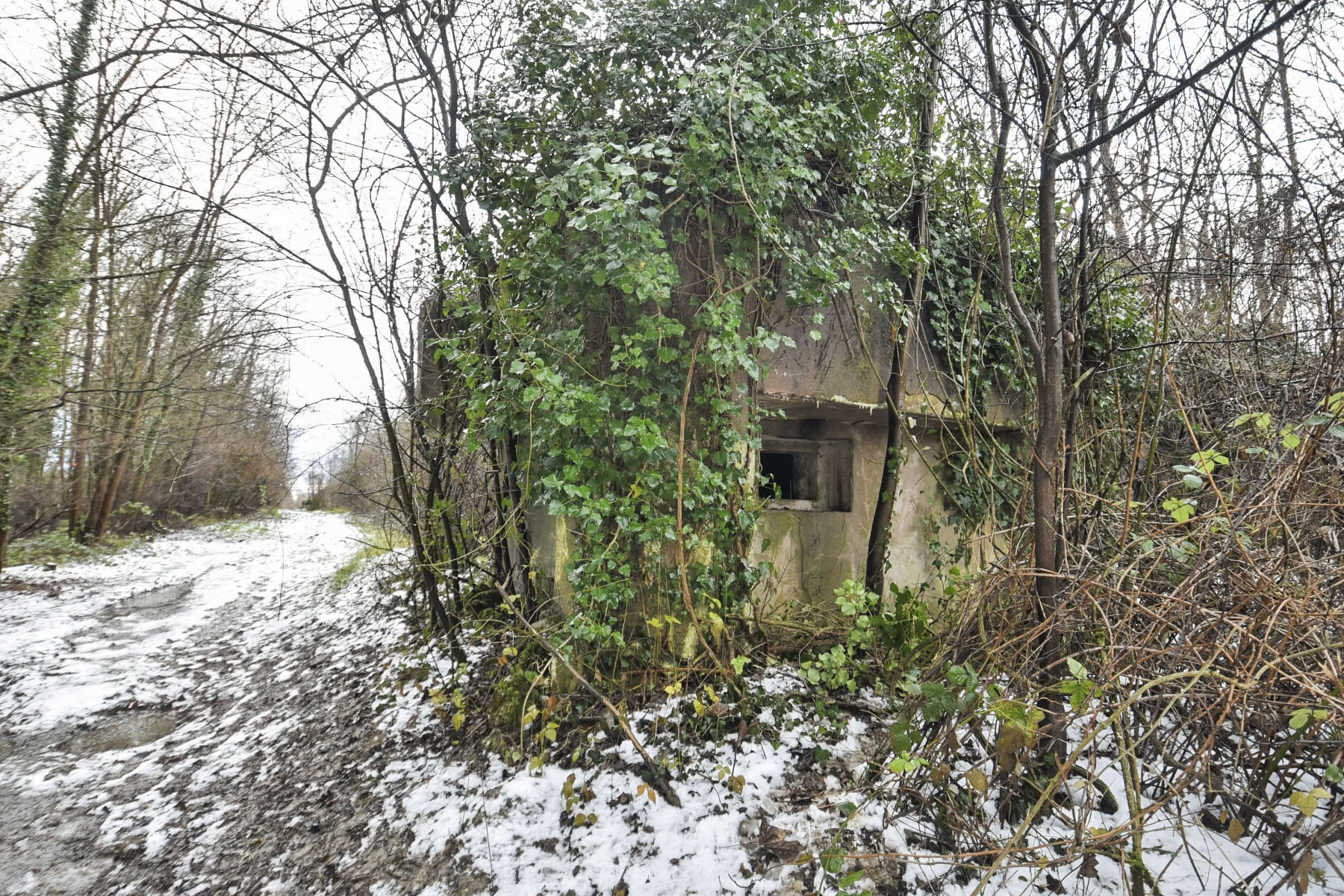 Ligne Maginot - 12 - DIGUE DE GERSTHEIM 1 - (Blockhaus pour arme infanterie) -  - Ludovic KNAPP