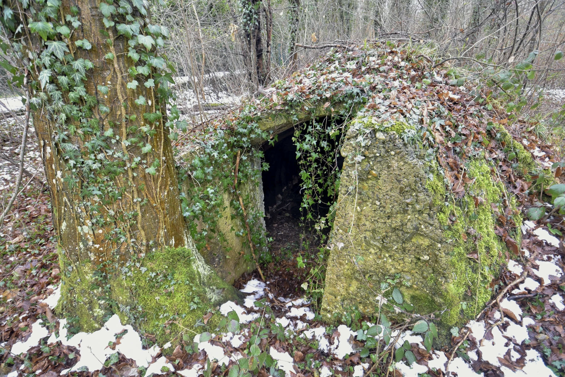 Ligne Maginot - PFIFFERWALD - (Abri) -  - Ludovic KNAPP