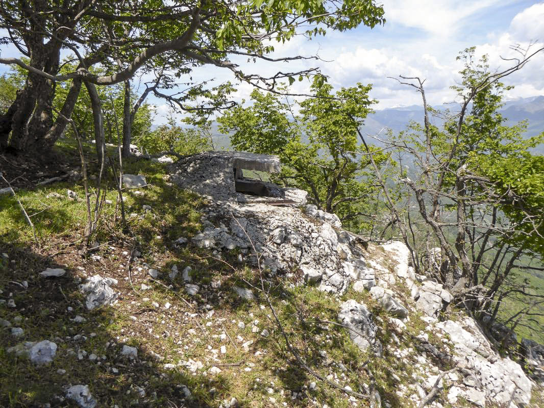 Ligne Maginot - TETE DU LOUP - (Observatoire d'artillerie) -  - ELLENA-CUNY