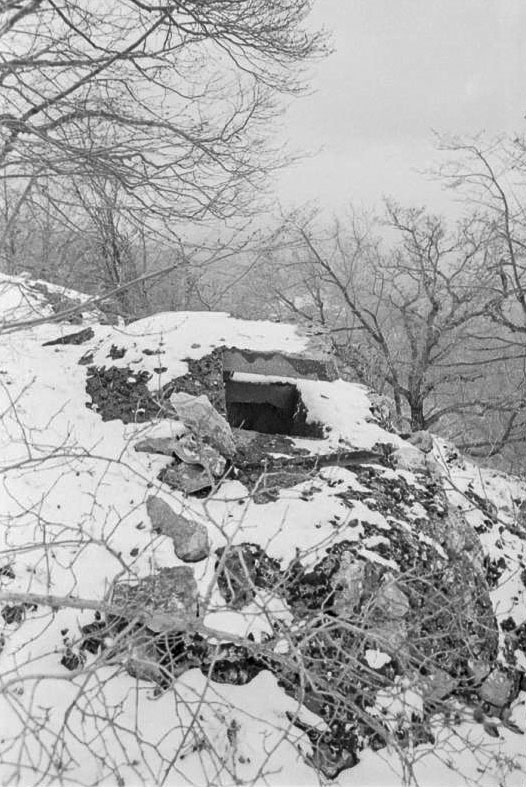 Ligne Maginot - TETE DU LOUP - (Observatoire d'artillerie) -  - Alain LOVINY