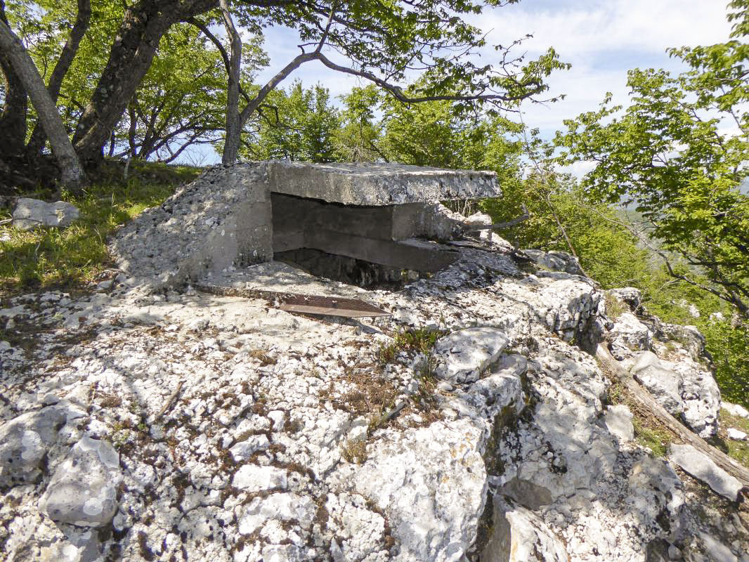 Ligne Maginot - TETE DU LOUP - (Observatoire d'artillerie) -  - ELLENA-CUNY