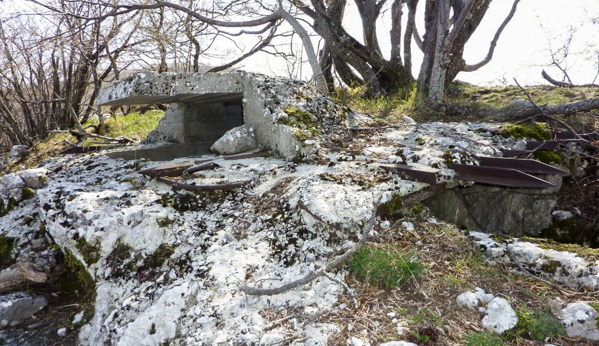Ligne Maginot - TETE DU LOUP - (Observatoire d'artillerie) -  - ELLENA-CUNY