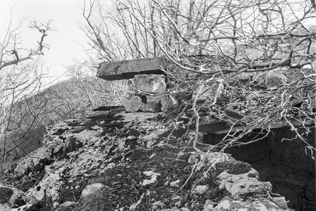 Ligne Maginot - TETE DU LOUP - (Observatoire d'artillerie) -  - Alain LOVINY