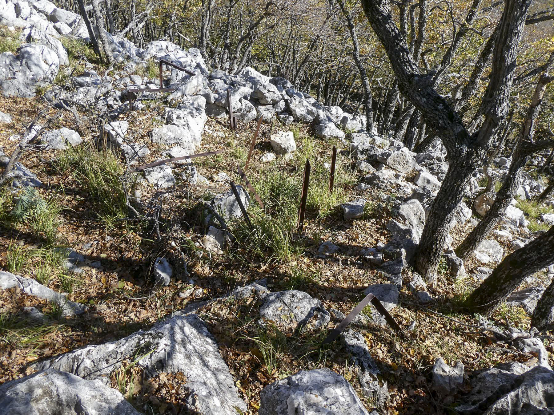 Ligne Maginot - MONT OURS SUD - (Observatoire d'artillerie) -  - ELLENA - CUNY