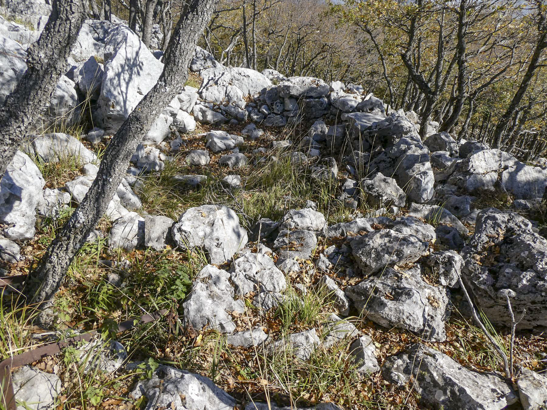 Ligne Maginot - MONT OURS SUD - (Observatoire d'artillerie) -  - ELLENA - CUNY