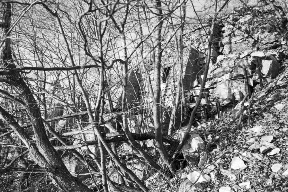 Ligne Maginot - MONT OURS EST - (Abri) -  - LOVINY Alain