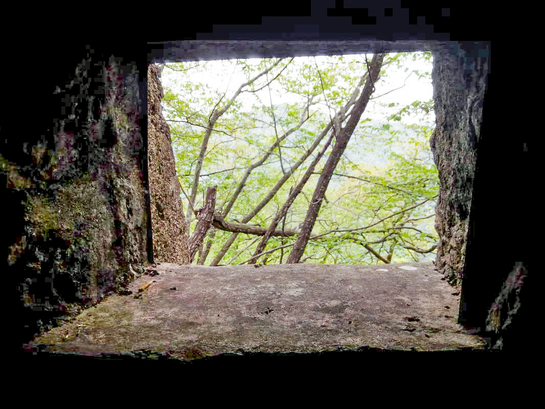Ligne Maginot - MONT OURS EST - (Abri) - Vue depuis le créneau - HENZEL Elian