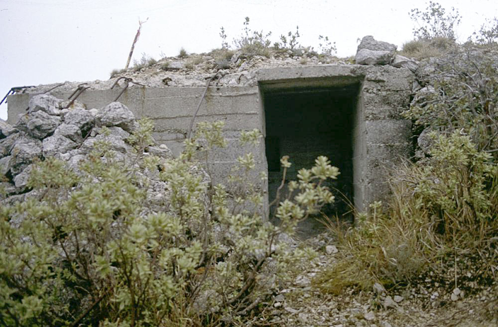 Ligne Maginot - NORD DU MONT GROS - (Observatoire d'artillerie) -  - LOVINY Alain