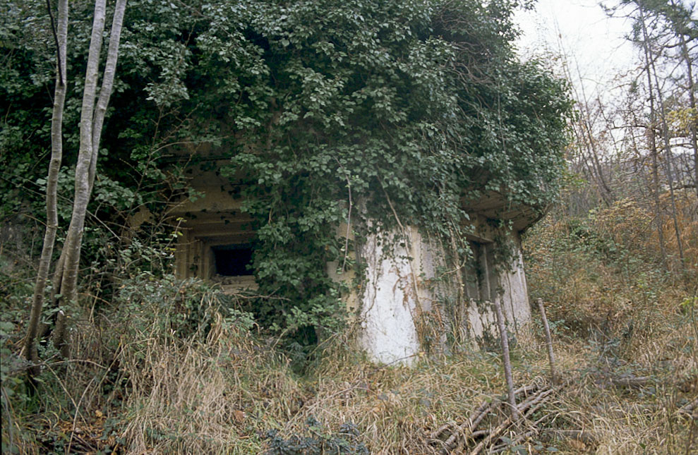 Ligne Maginot - O12 - GORBIO SUD - (Casemate d'infanterie - Simple) -  - LOVINY Alain