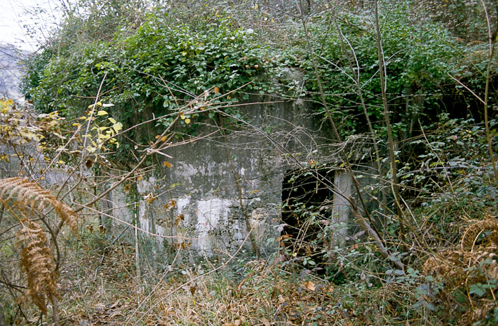 Ligne Maginot - O12 - GORBIO SUD - (Casemate d'infanterie - Simple) - L'accès à la casemate - LOVINY Alain