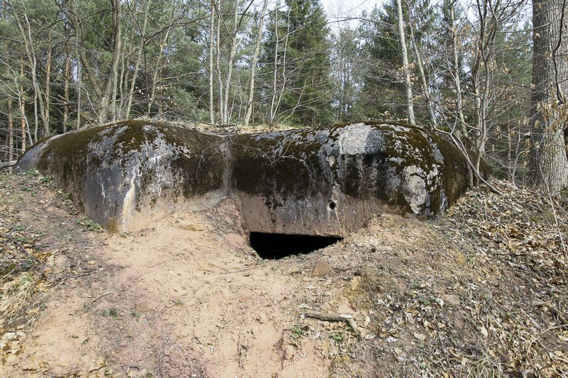 Ligne Maginot - HANAU 3 - (Blockhaus pour canon) - L'entrée est partiellement remblayée - GRUBER Franck