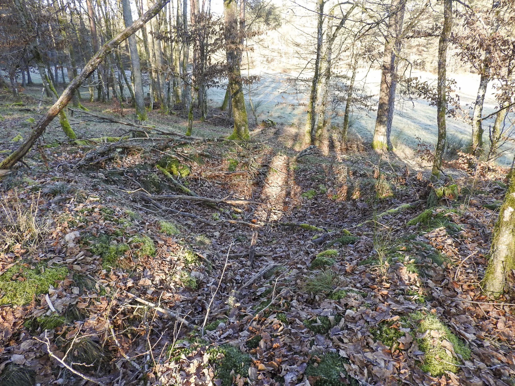 Ligne Maginot - WALDECK (9°BIE 60°RMAF) - (Position d'artillerie préparée) - Un emplacement d'abri ? - STENGER Mathieu