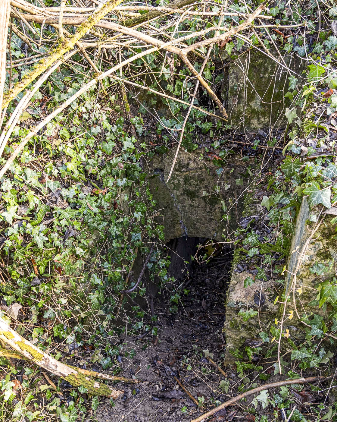 Ligne Maginot - OBERSAASHEIM OUVRAGE 2 - (Blockhaus pour arme infanterie) - Entrée à gauche - David Palmer