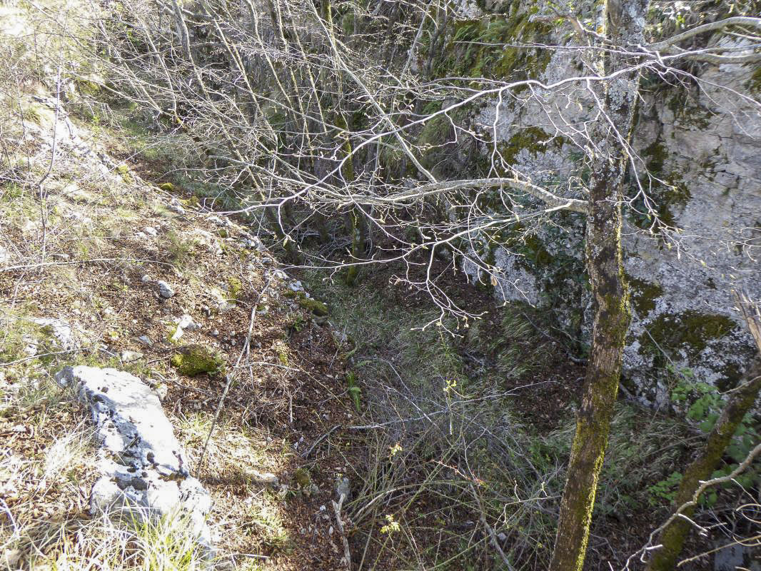 Ligne Maginot - O47 - COL DE SEGRA - (Blockhaus pour arme infanterie) -  - ELLENA-CUNY