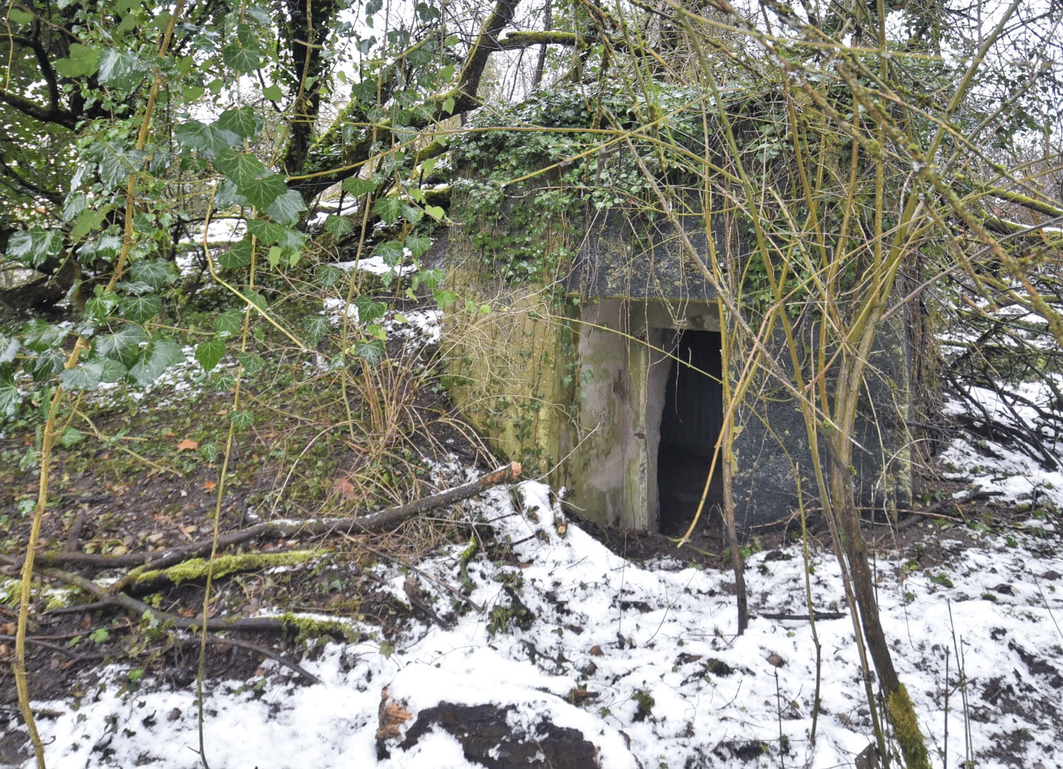 Ligne Maginot - GERSTHEIM 4 (TêTE DE PONT DE )  - (Abri) -  - Ludovic KNAPP